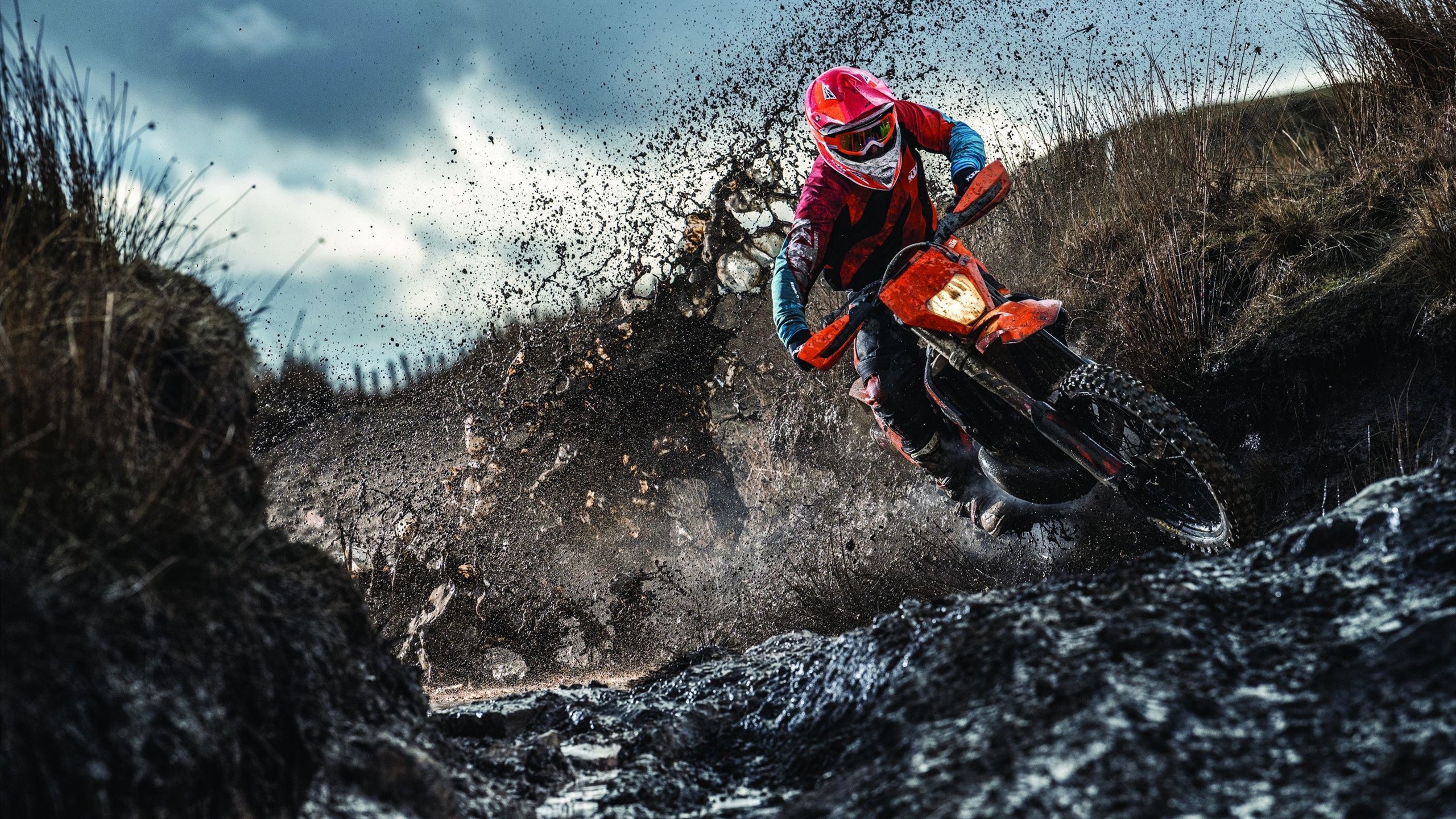 “亚戈·卡尔曼的领导魅力，帮助美洲狮队在全球赛场上脱颖而出”