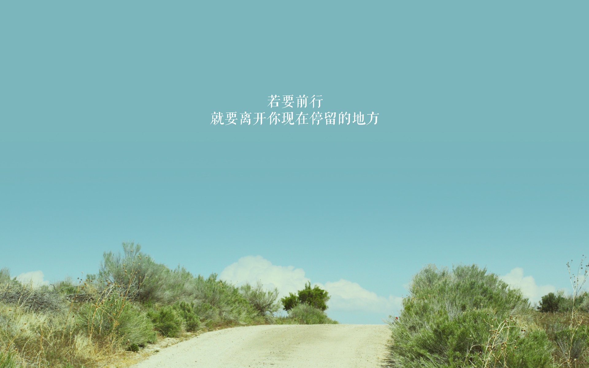 中国球迷在卡塔尔世界杯现场力挺阿根廷，卡塔尔2022世界杯中国队