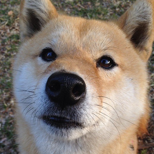 kaiyun.com-影响力持续扩大：NBA如何成为全民关注的体育盛事？，nba在体育届的影响力